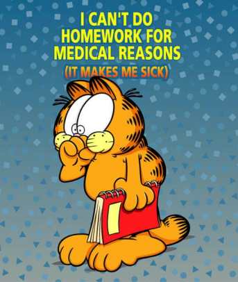 Garfield-Homework.jpg