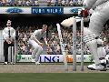 Cricket 2005 screenshot #id