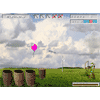 Play 'Balloon Hunter'